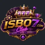 isb-07-game