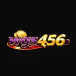 wgs-456-game